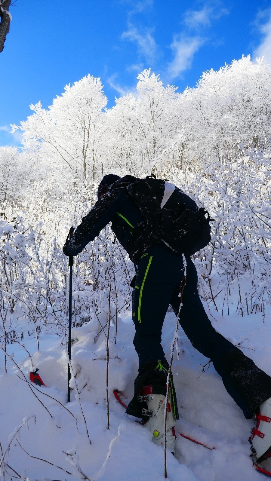 #7 Avant de se perdre dans les arcoces... Avant de se perdre dans les arcoces...