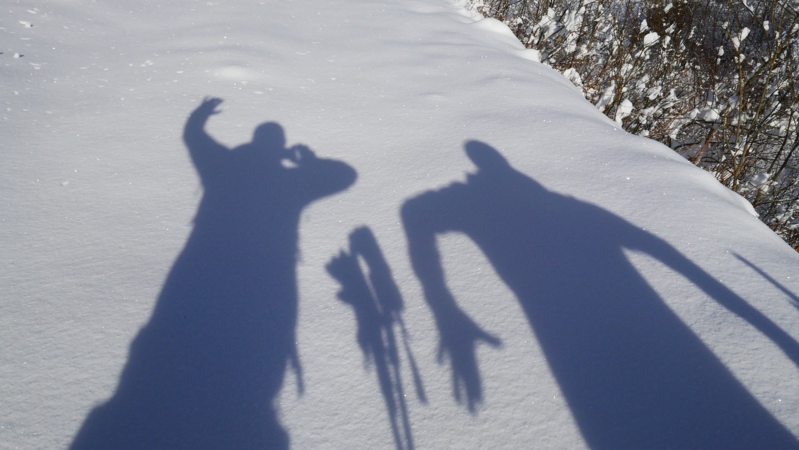 #9 2 Zinzins... 2 Zinzins...