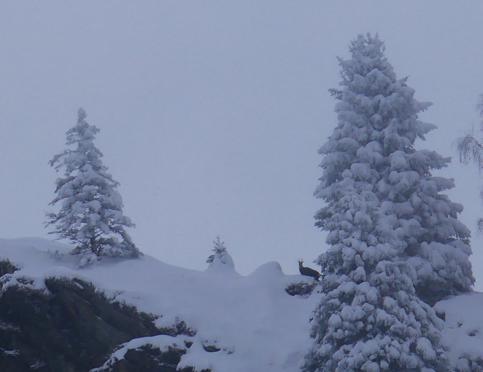 #15 Gardien du temple... Gardien du temple...