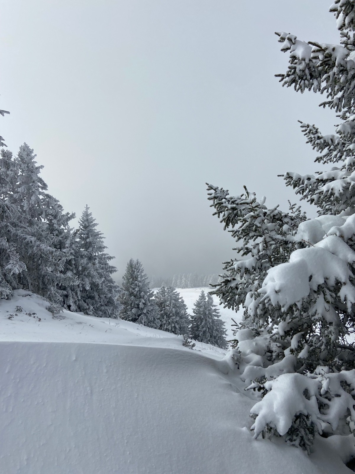 #4 Travail du vent Travail du vent