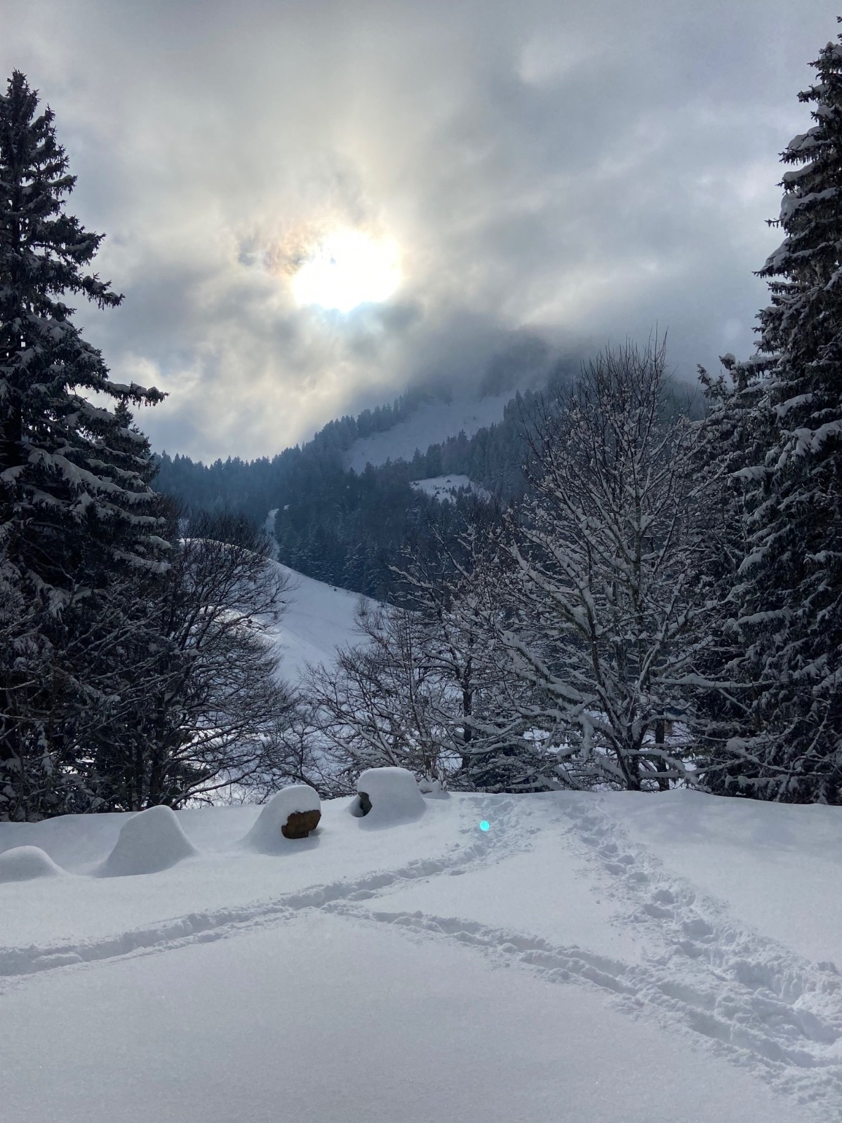 #5 Il sort quand on s’en va Il sort quand on s’en va