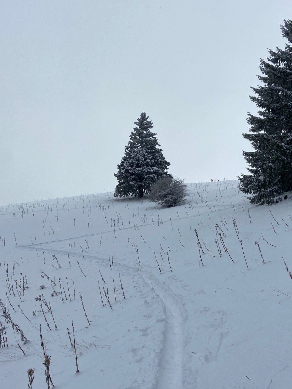 #2 Barbe de 3 jours Barbe de 3 jours