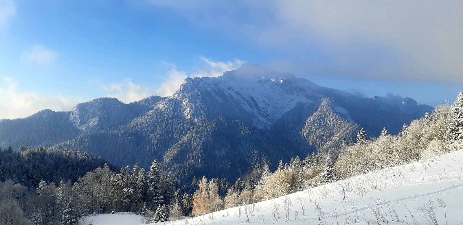 #6 Le Grand Som se découvre Le Grand Som se découvre