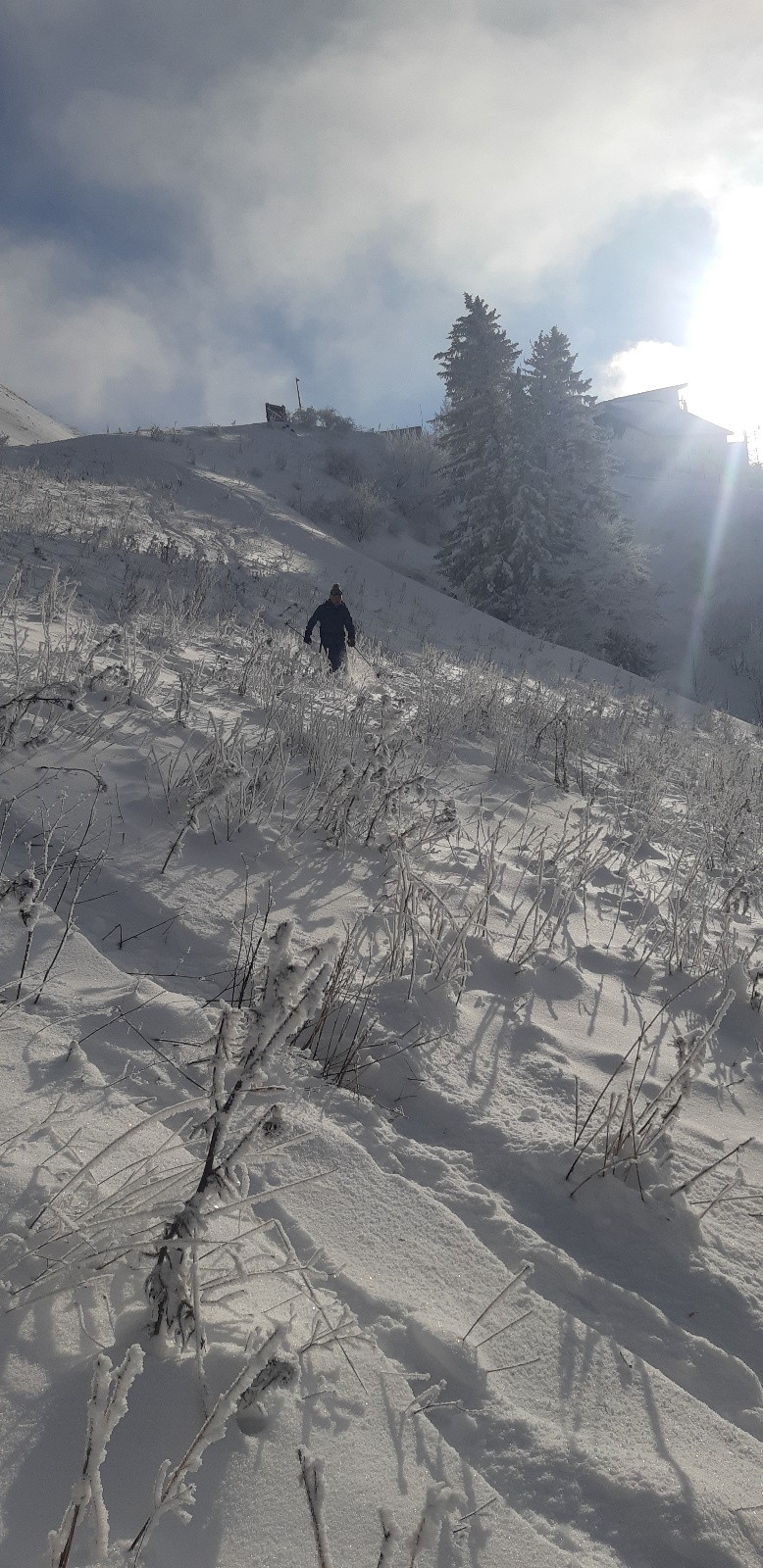 #5 Haut de la combe l Haut de la combe l'Ours bien miné !