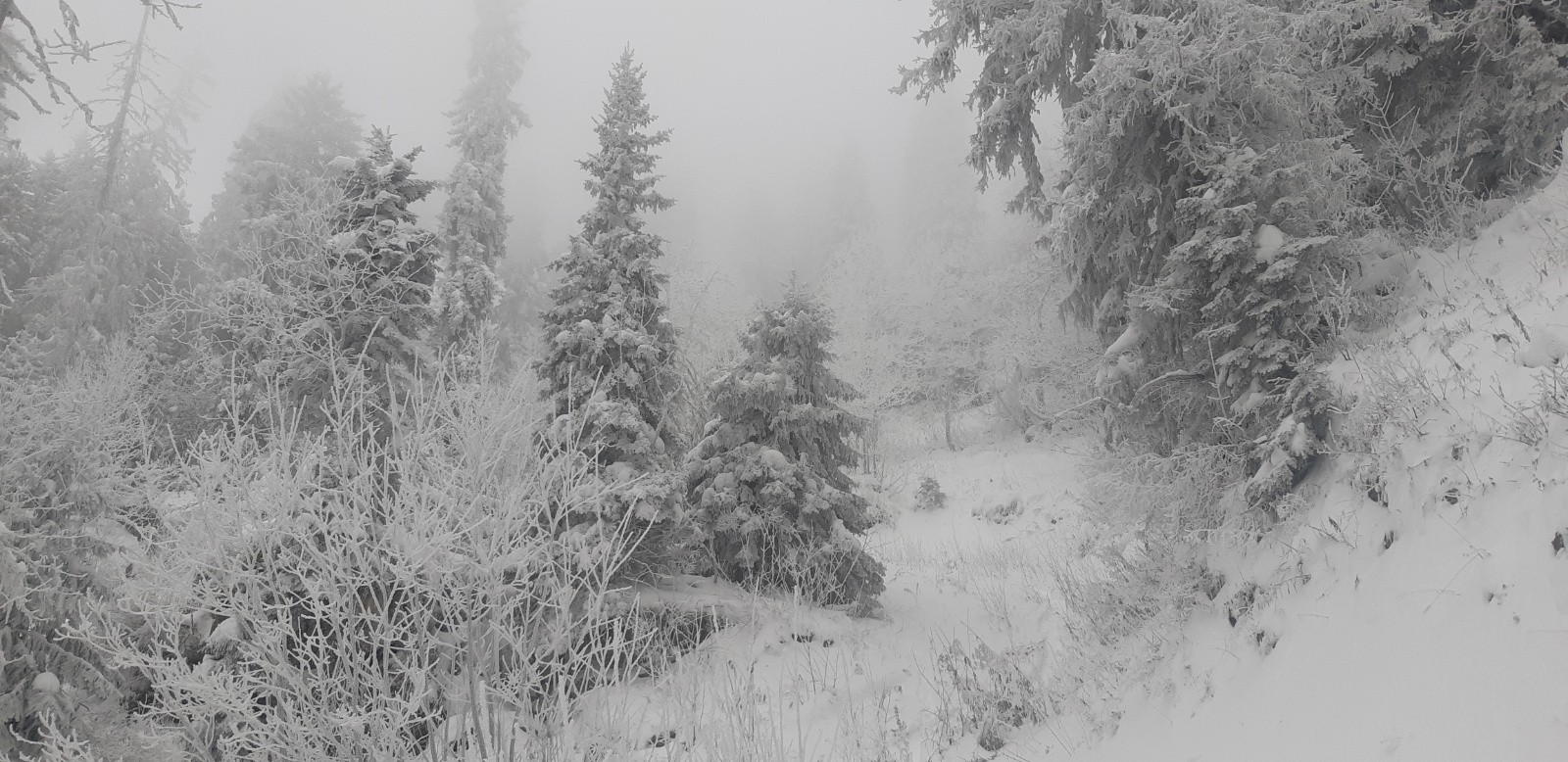 #1 L L'ambiance matinale