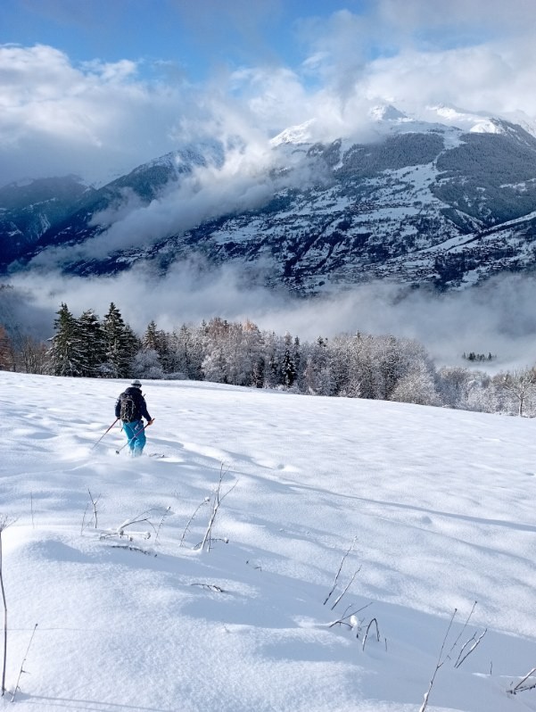 #4 Dans les champs. Dans les champs.