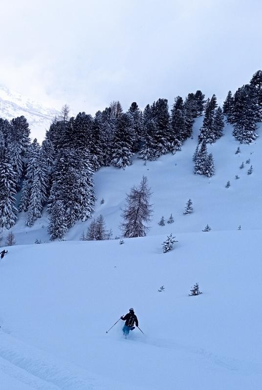 #1 Avant d Avant d'arriver dans les Bois!