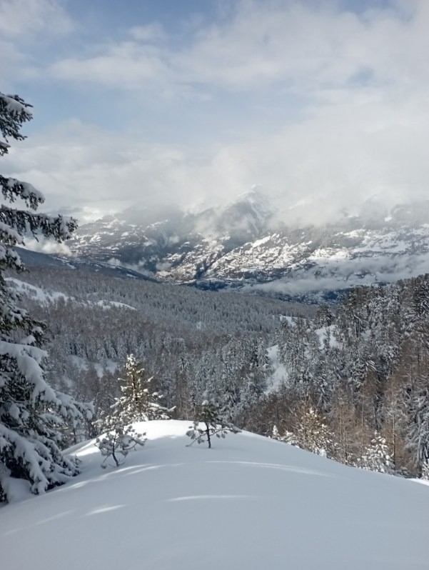#3 Clairière dans les bois Clairière dans les bois