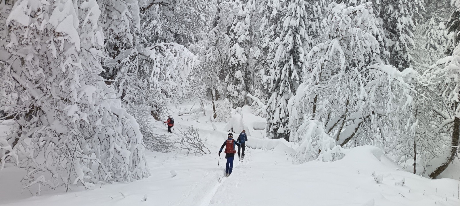 #4 Toujours aussi beau ! Toujours aussi beau !