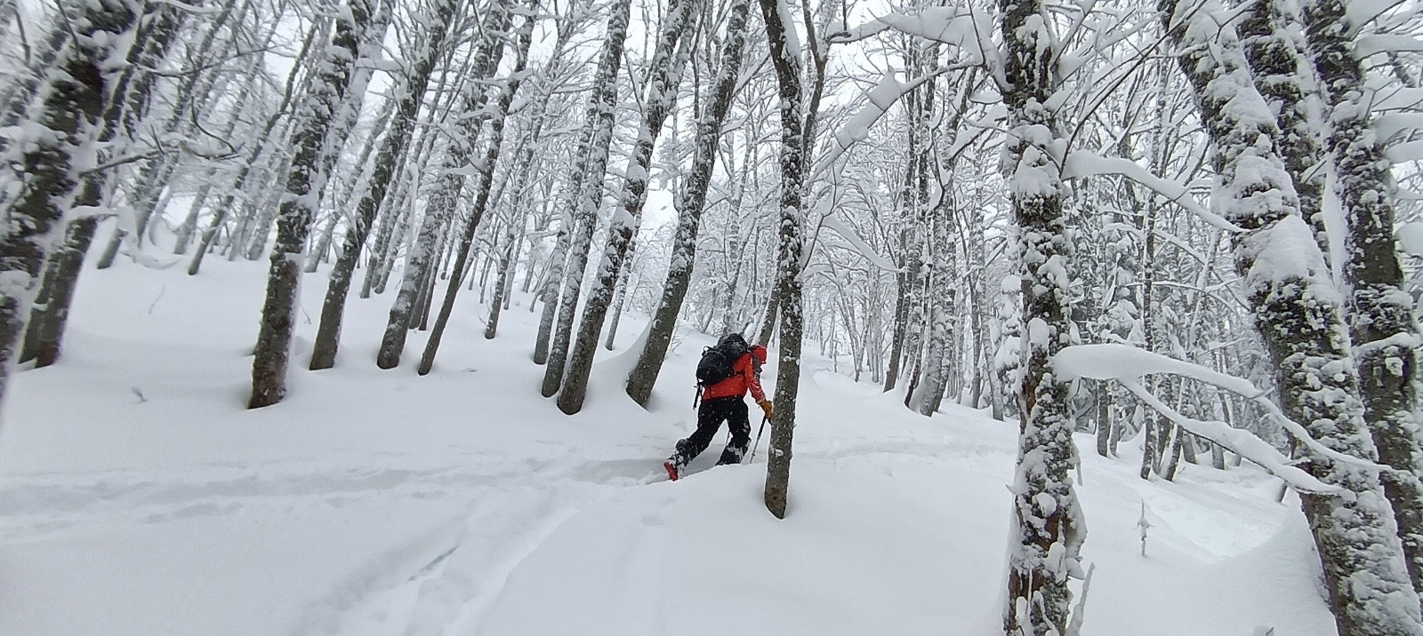 #9 Remontée aprÚs le casse-croûte Remontée aprÚs le casse-croûte