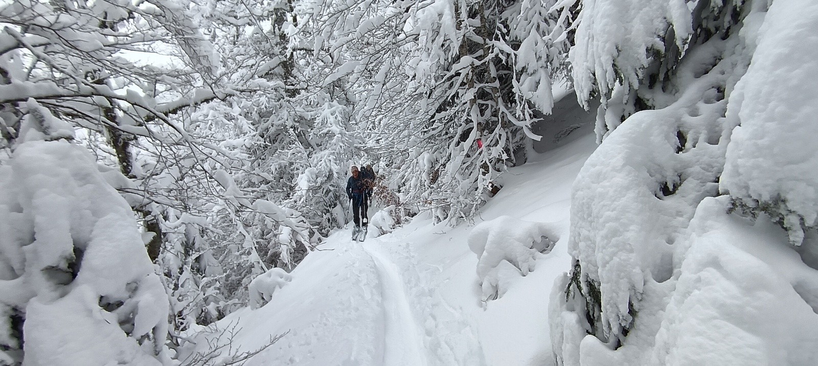 #2 Trop beau ! Trop beau !