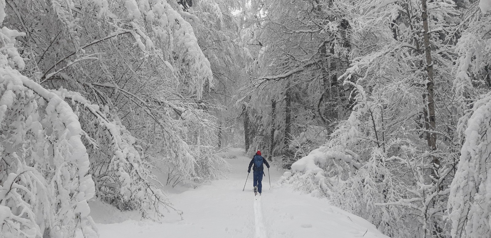 #1 Ambiance... Ambiance...