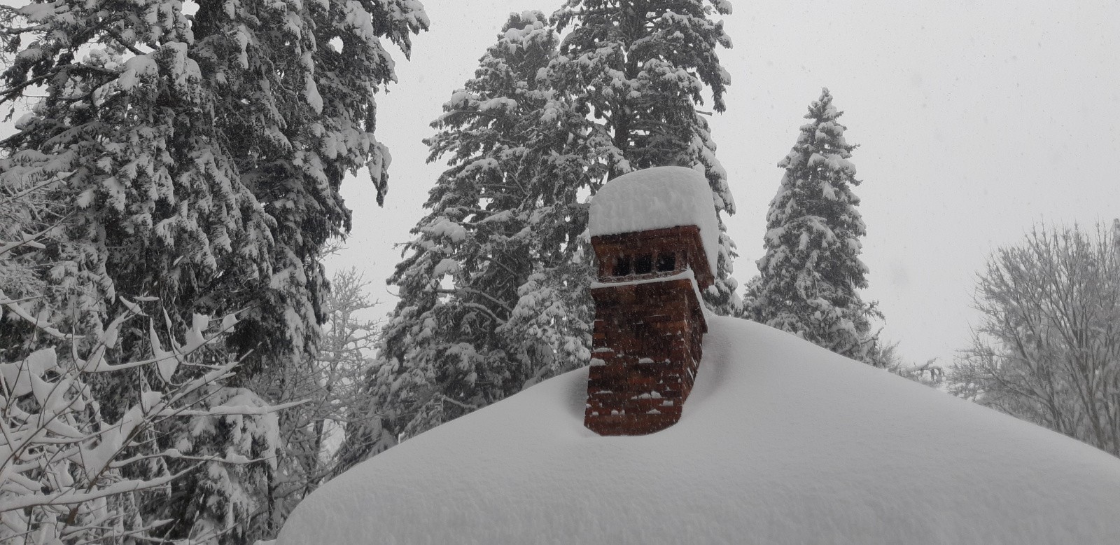 #7 Le toit de Casalibus Le toit de Casalibus