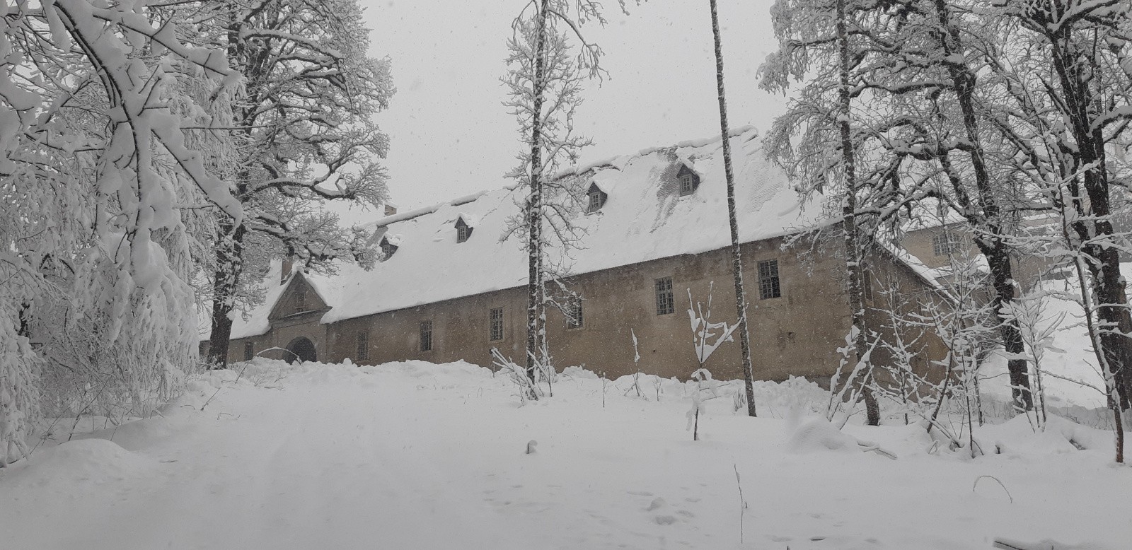 #2 Déjà de belles quantités! Déjà de belles quantités!