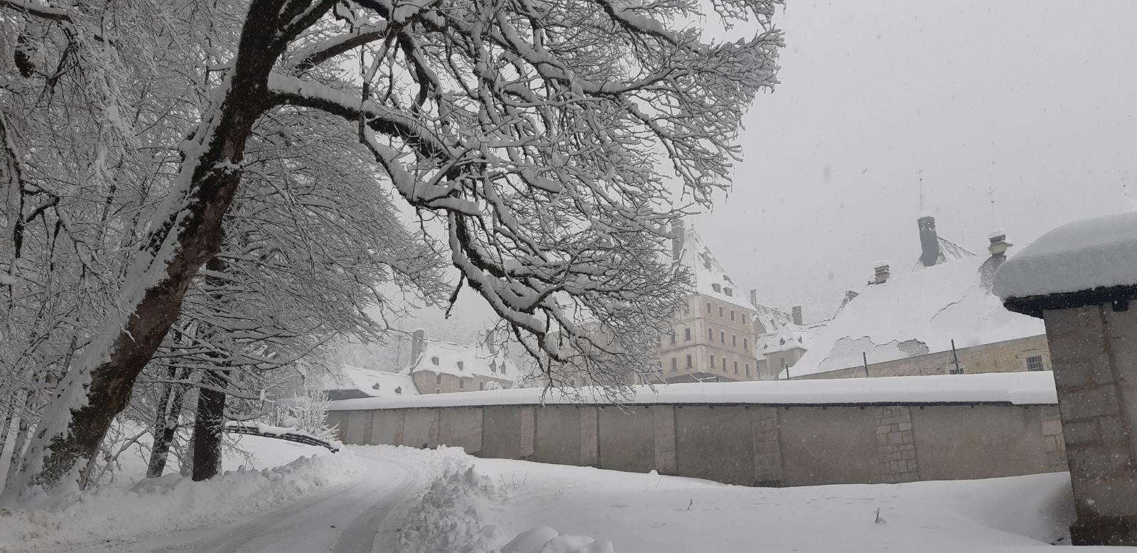 #3 Grande Chartreuse Grande Chartreuse