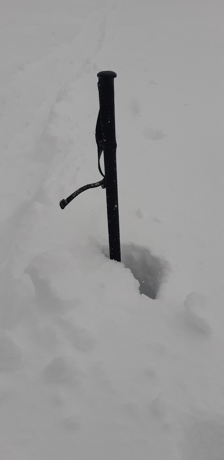 #10 Nivose col de la Ruchère: un bon 60-70cms Nivose col de la Ruchère: un bon 60-70cms