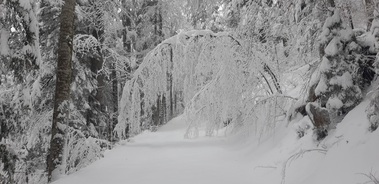 #5 A nous le traçage ! A nous le traçage !