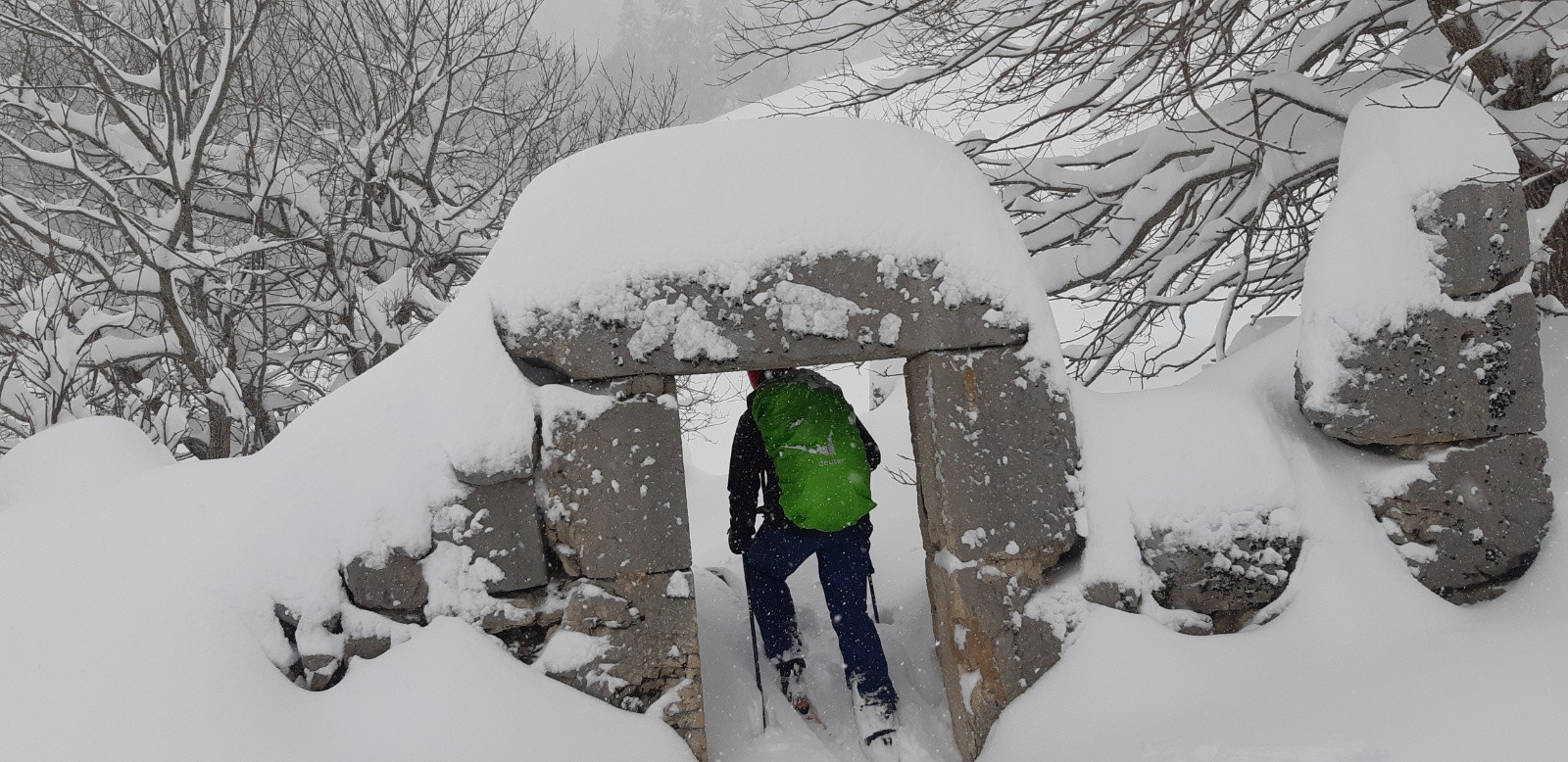 #8 Habert de la Ruchère Habert de la Ruchère