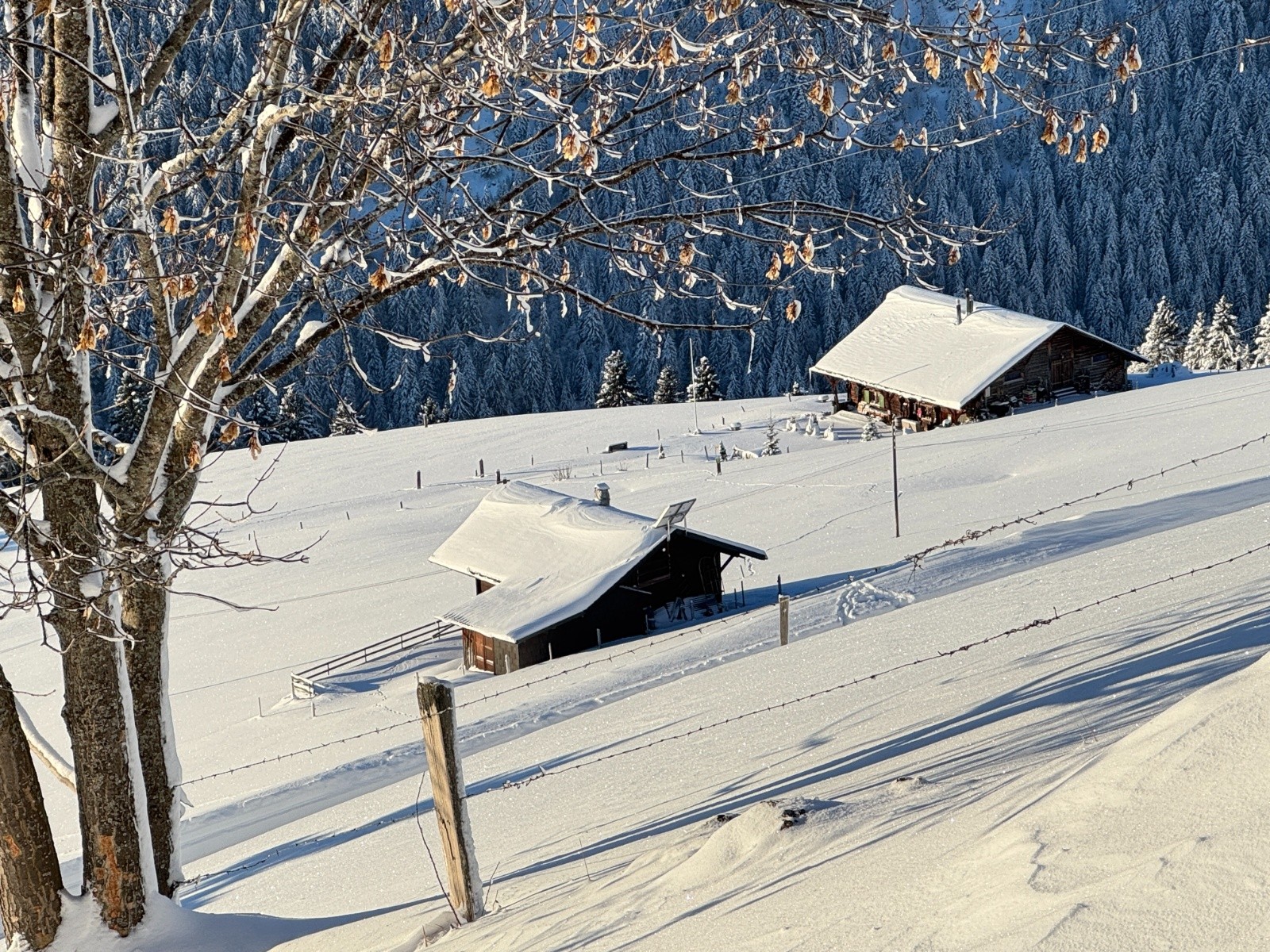 #7 Bucolique Bucolique