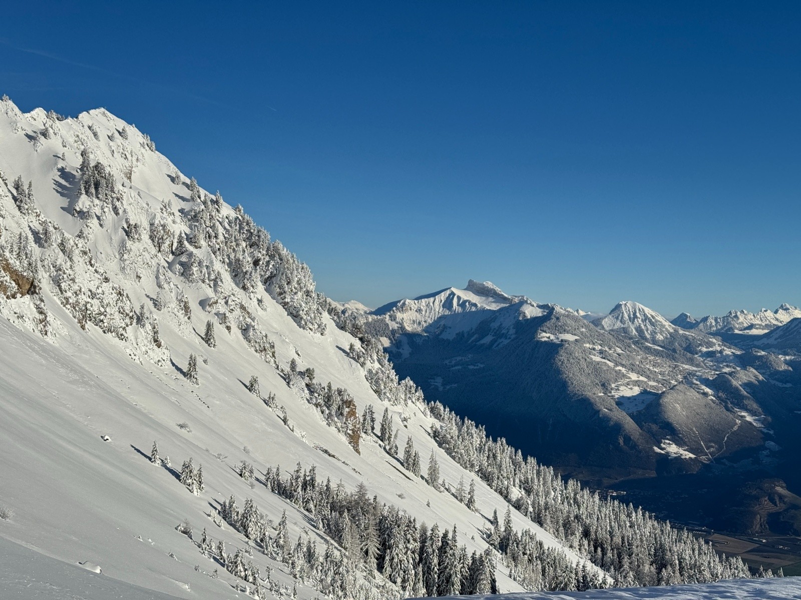 #12 Dreveneuse Dreveneuse