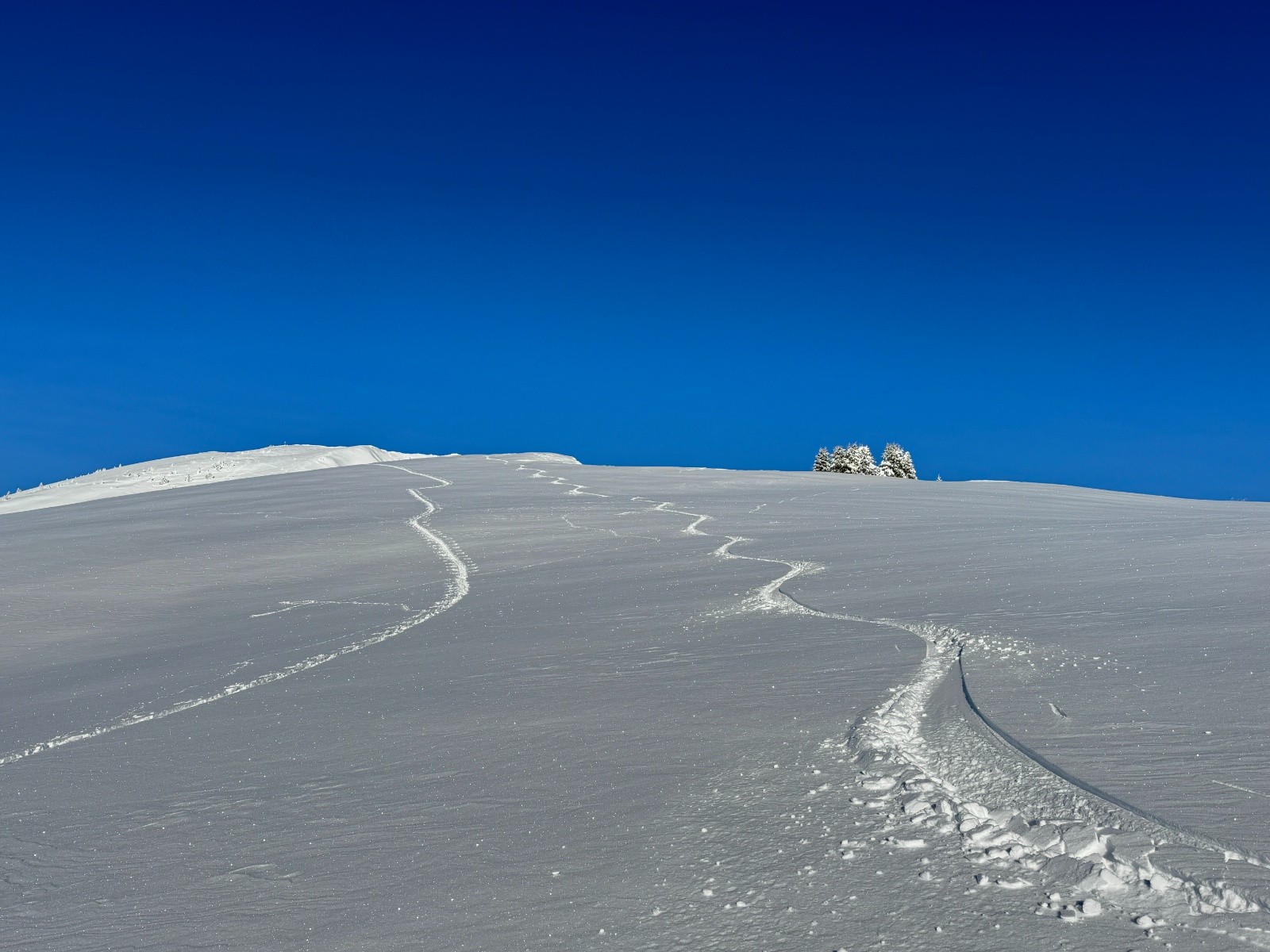 #18 Miaaaaam Miaaaaam