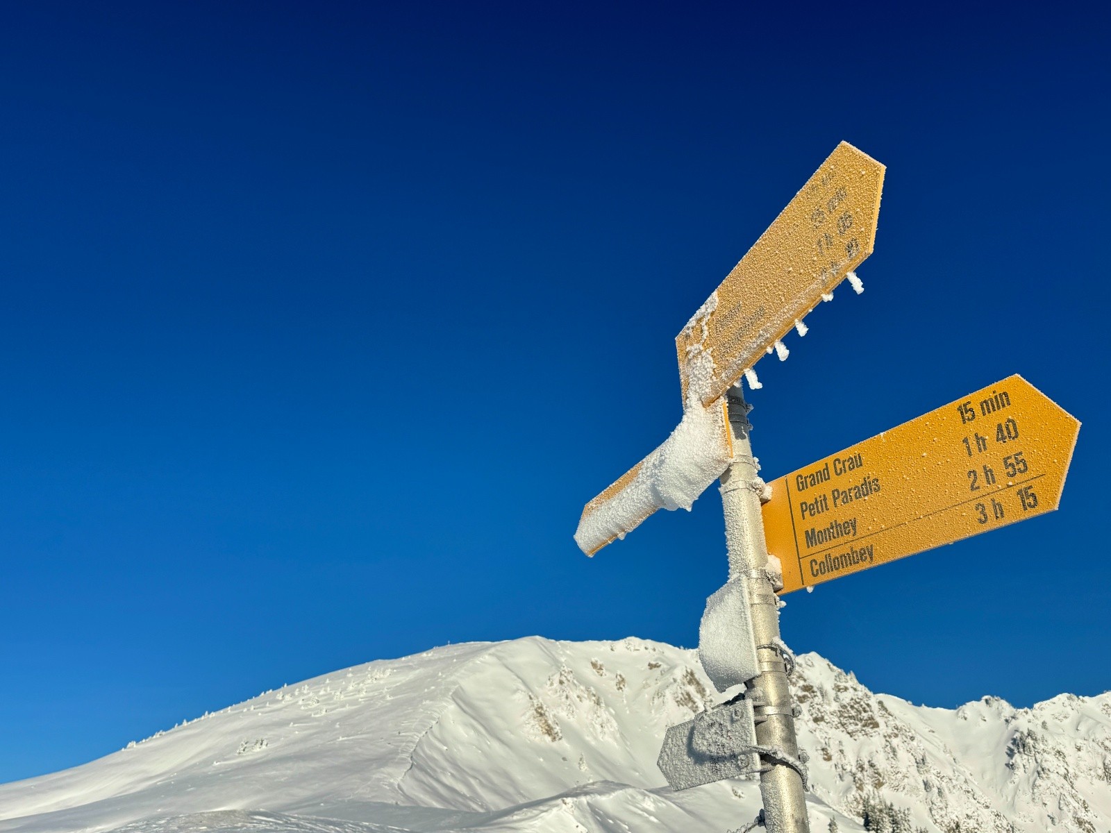 #10 Final Bellevue Final Bellevue