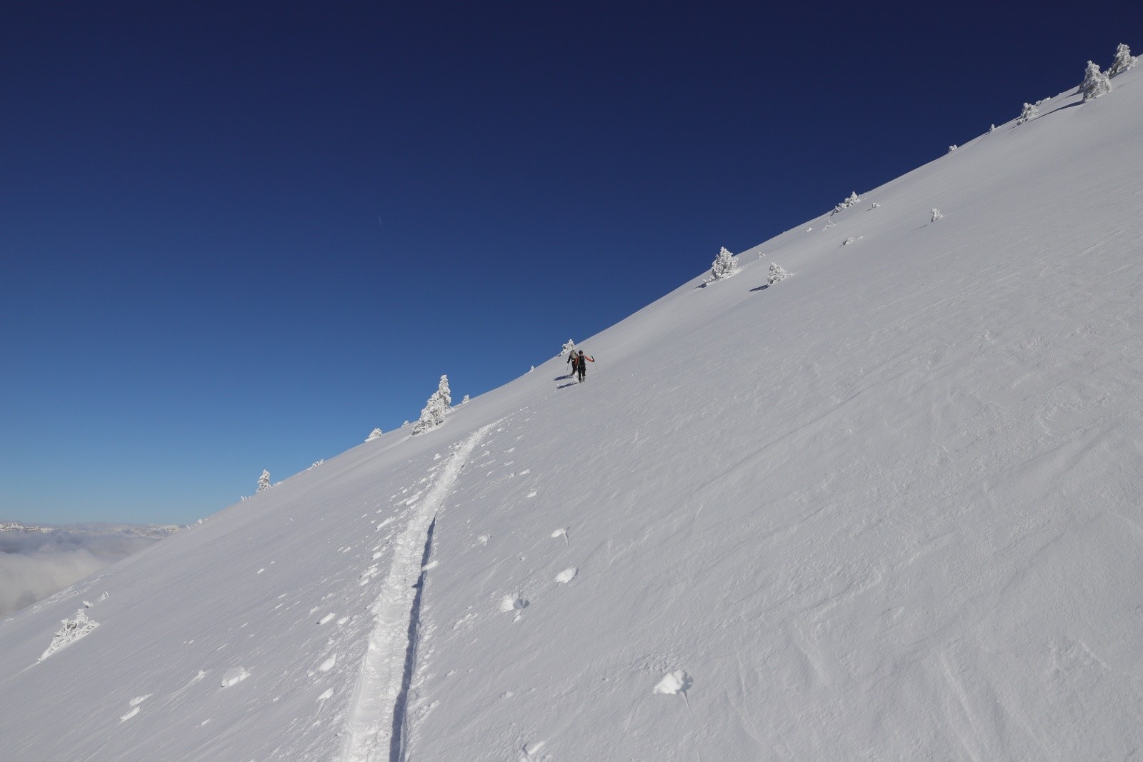 #9 Seuls au monde Seuls au monde