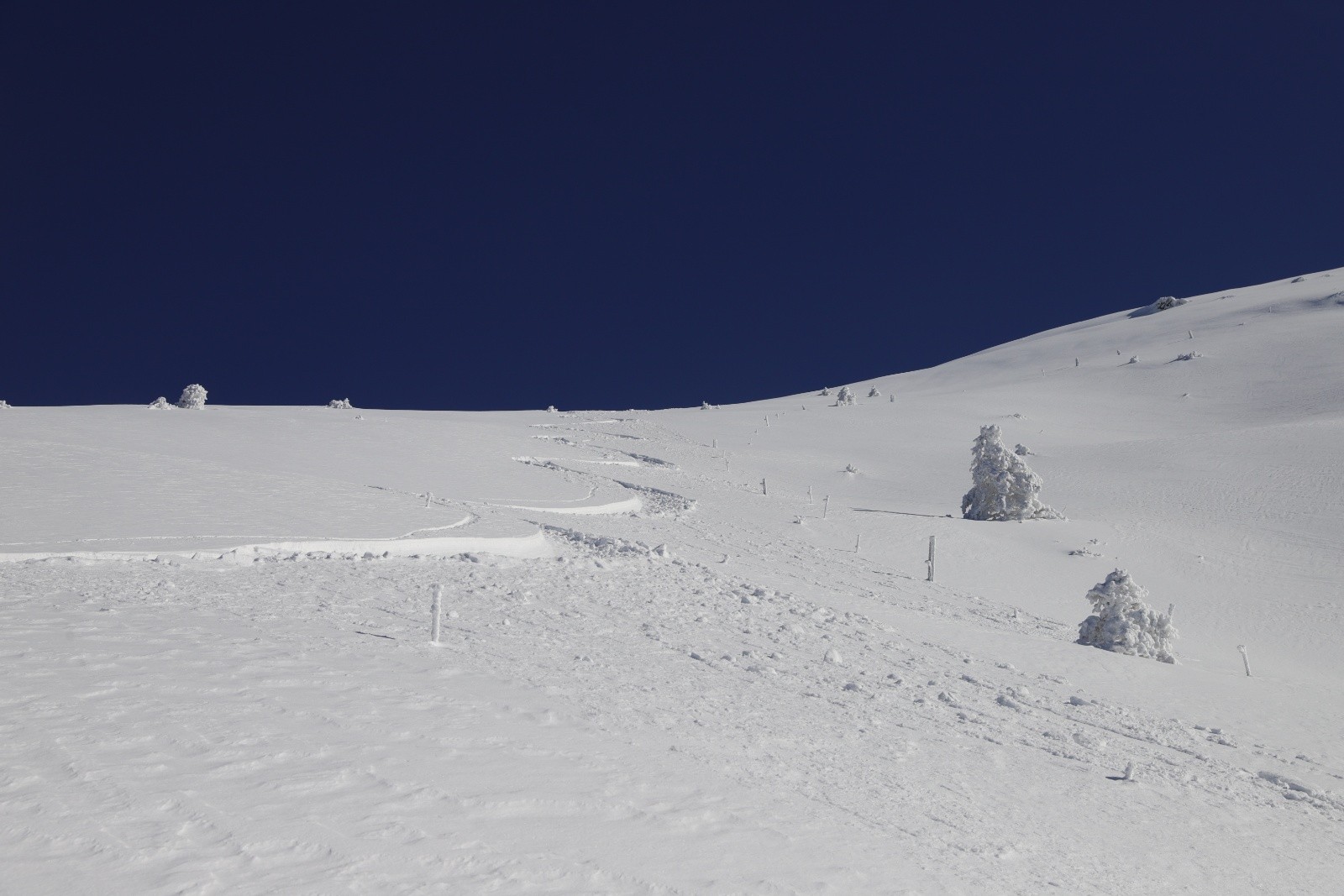 #5 Descente plein ouest au soleil et en poudre Descente plein ouest au soleil et en poudre