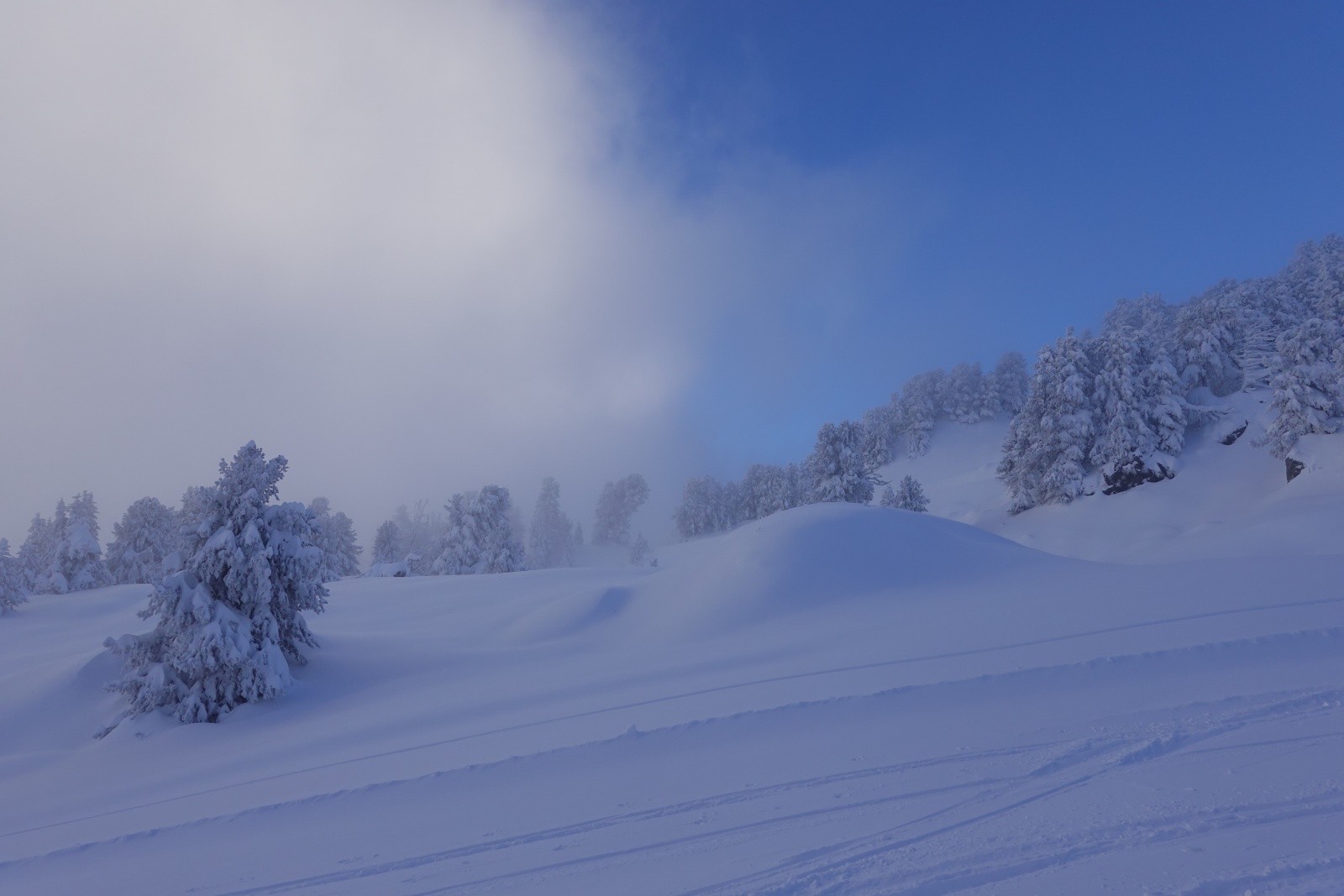 Lutte entre la brume et le soleil