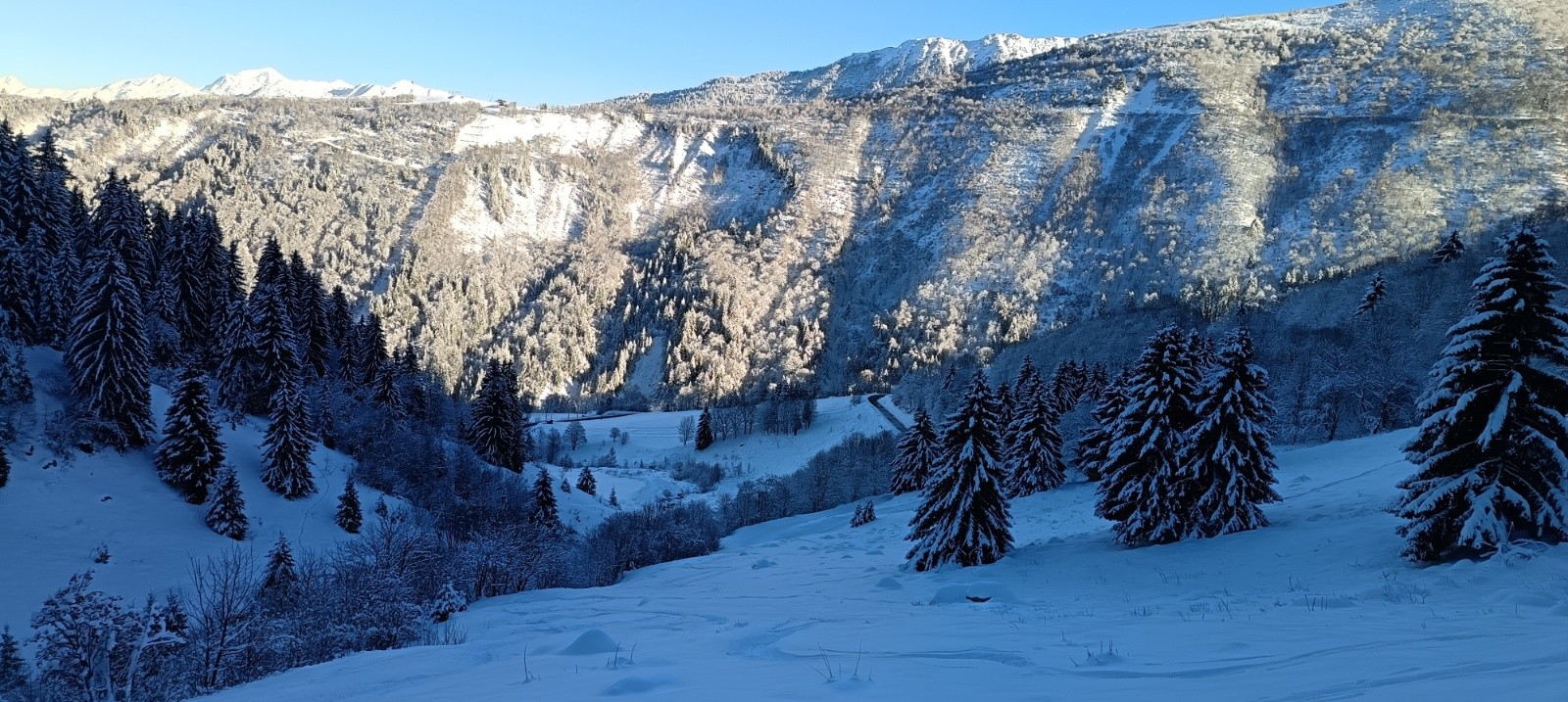  Dernière pente au dessus de la voiture, il faut tout comme quantité 