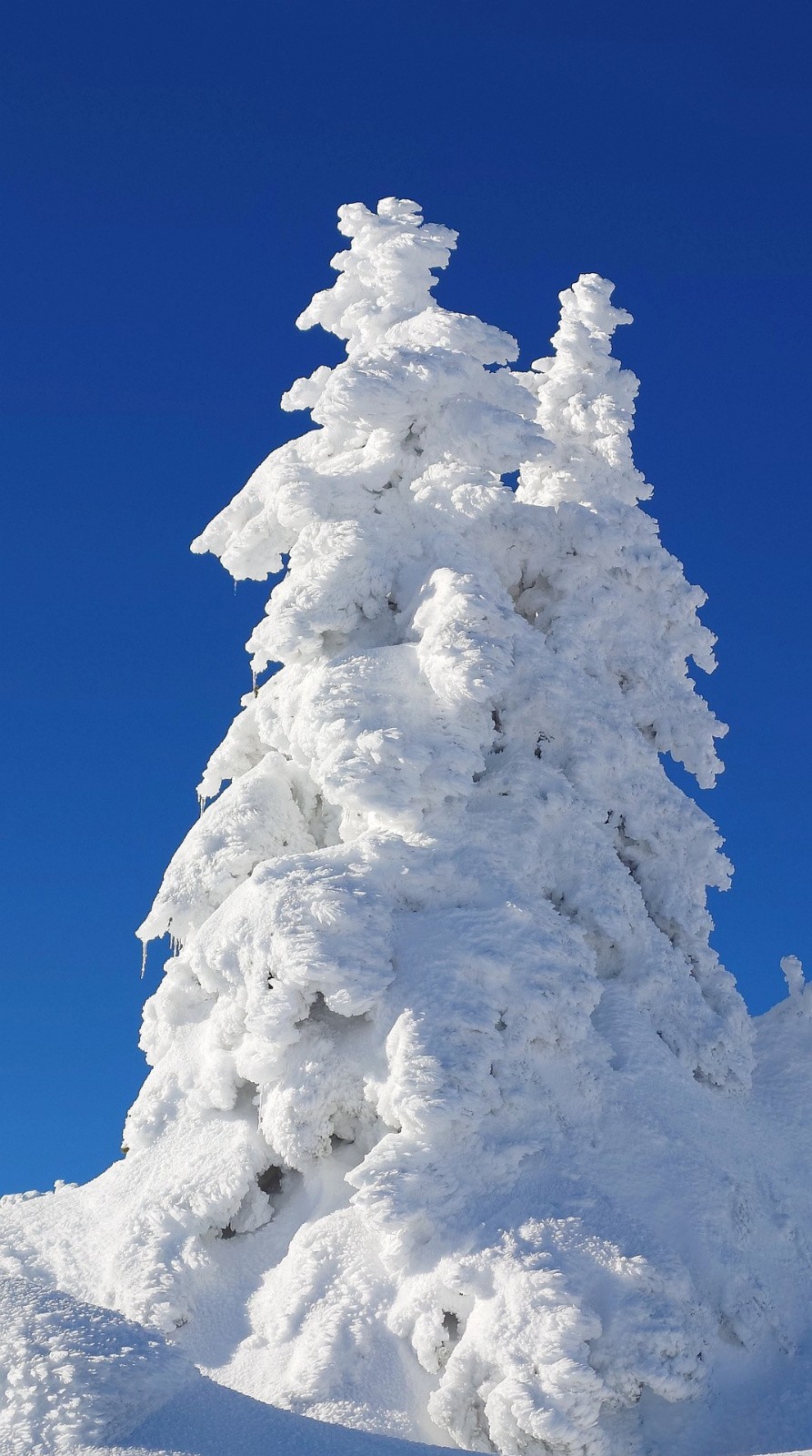 #22 Anomalie chromatique Anomalie chromatique