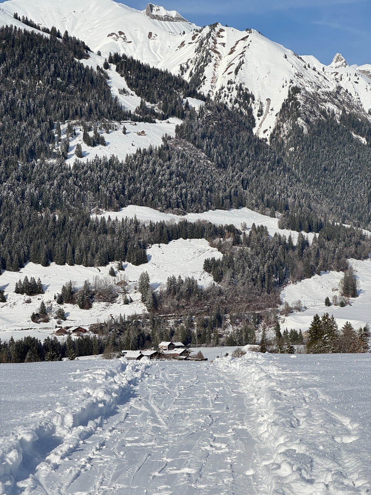 Autoroute suisse mais sans la vignette ;)