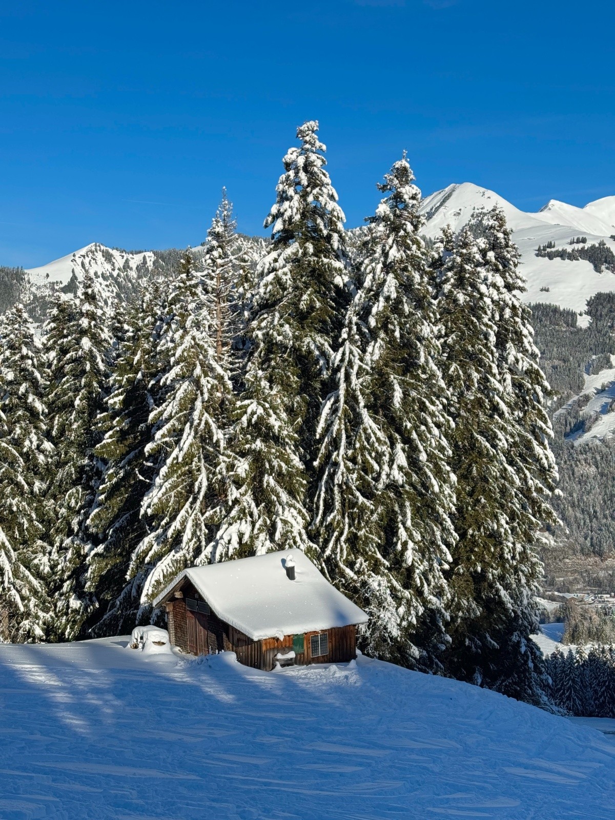 Ancienne piste de ski