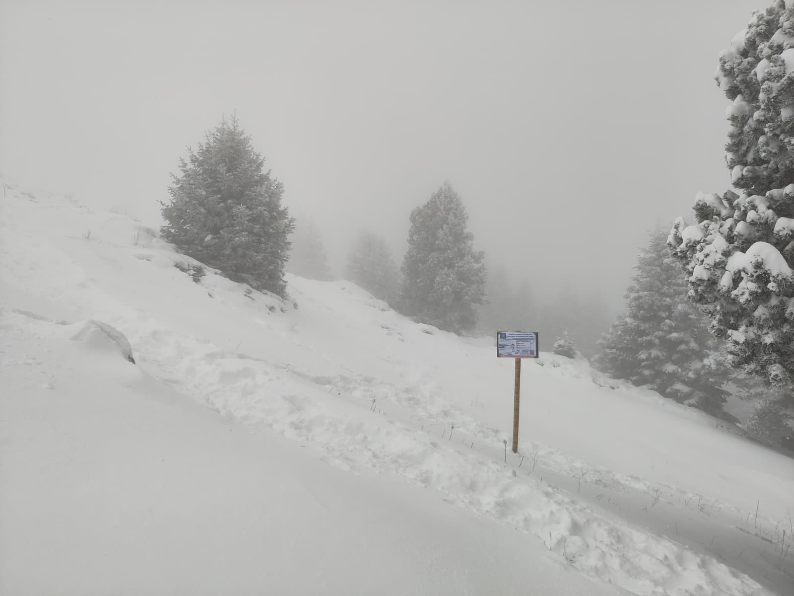Le poteau de chamechaude haut seul et triste