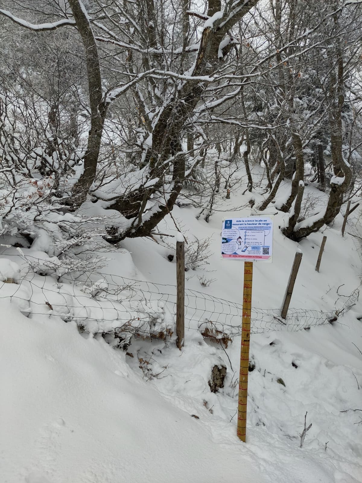 Le panneau de chamechaude bas, au chaud sous les arbres