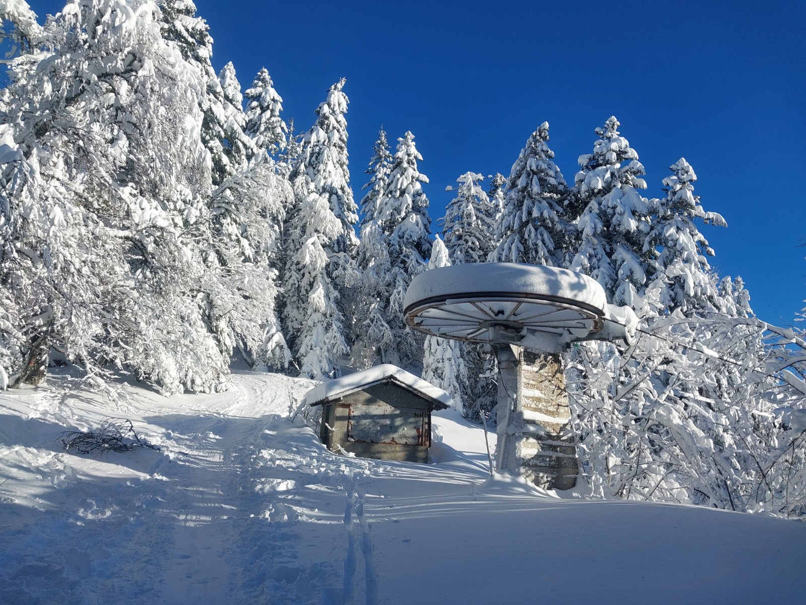 La nivôse du coin...