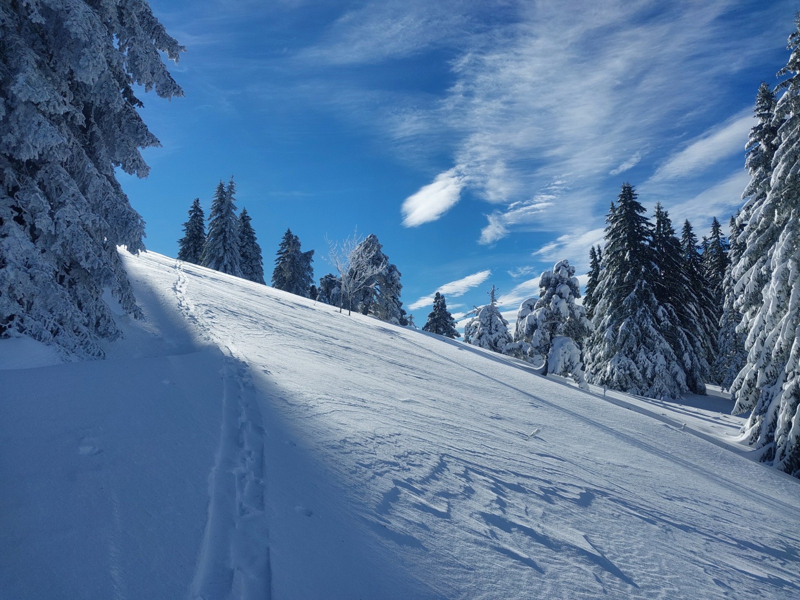 En remontant vers le Fournel