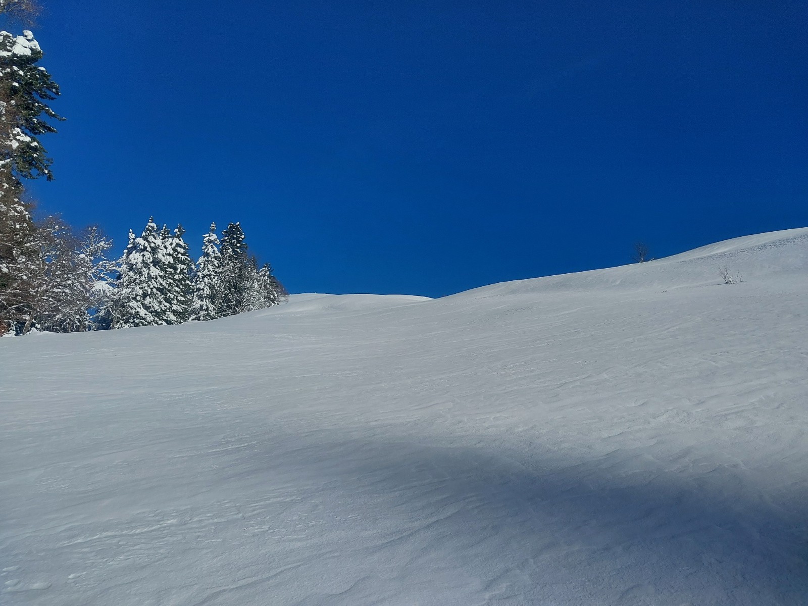 Dans la combe sous l'oratoire