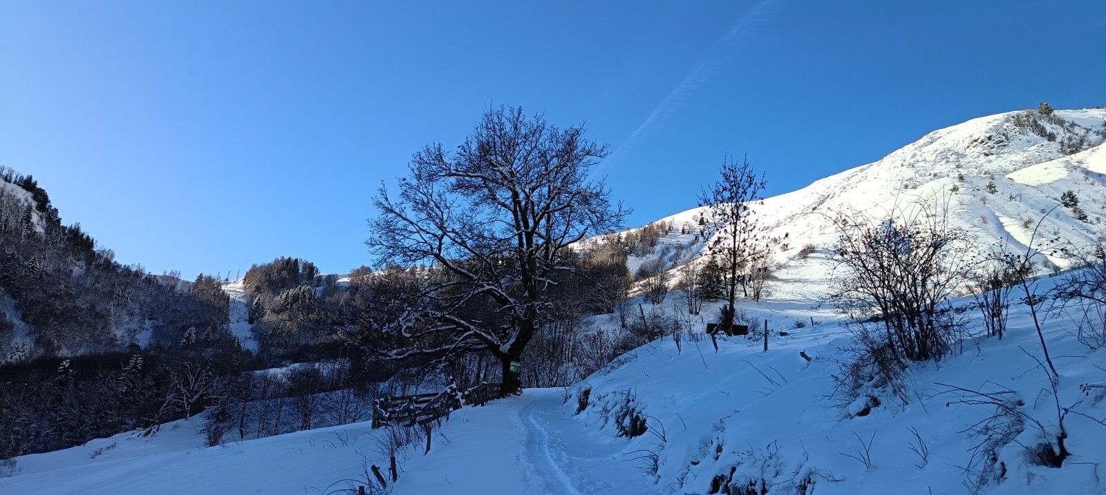 Enneigement au départ sur la piste forestière 