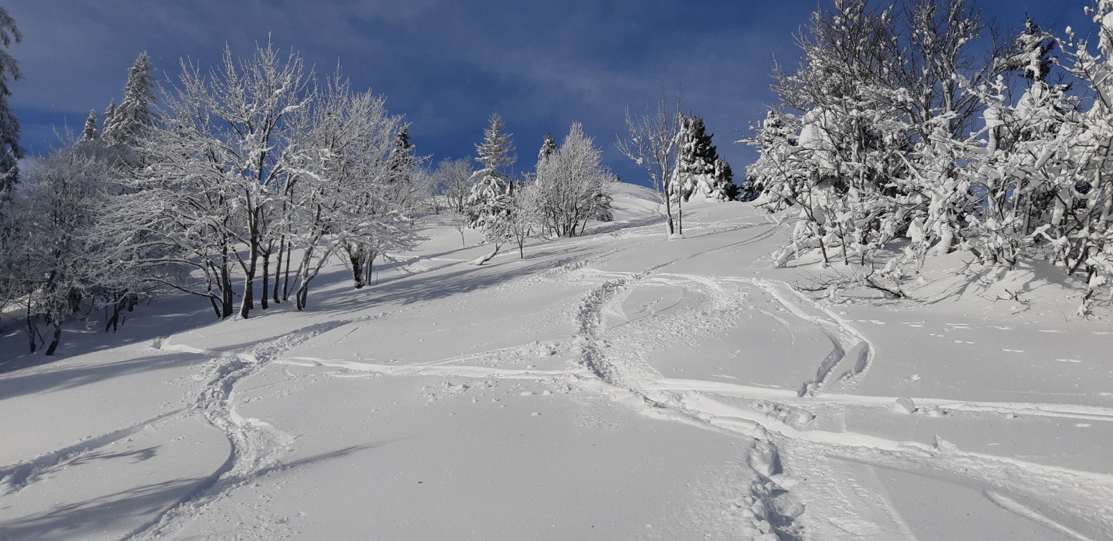 Descente petite vache encore bon ! 