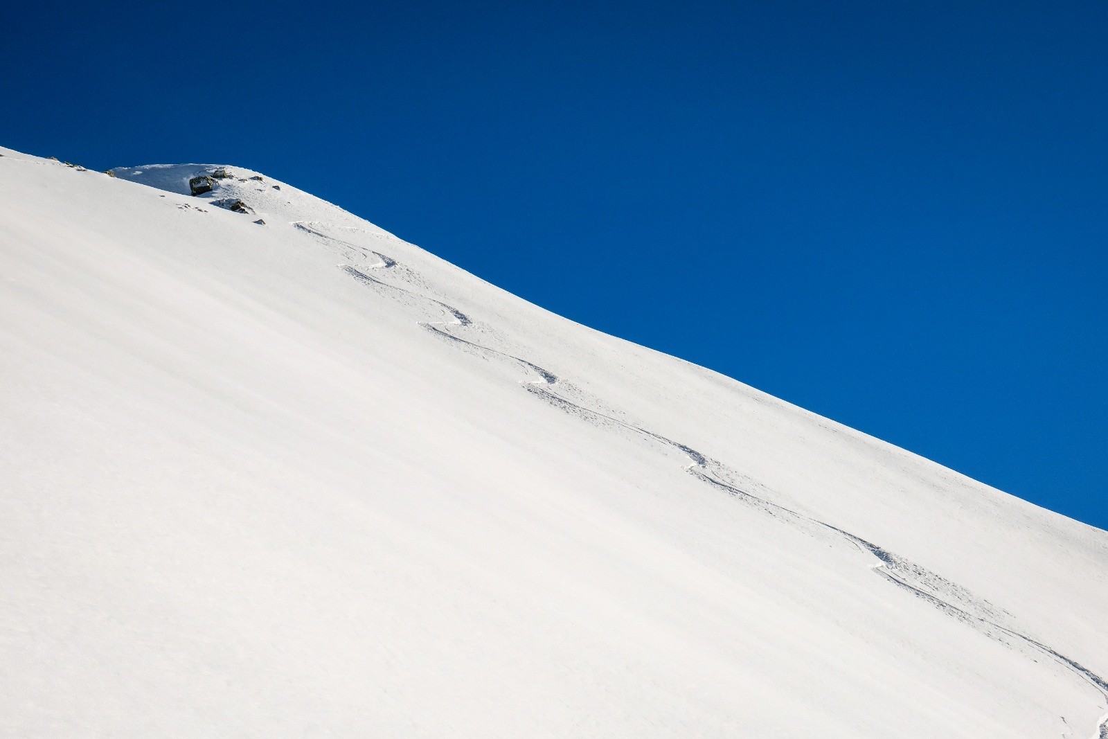 La saison est ouverte ! 