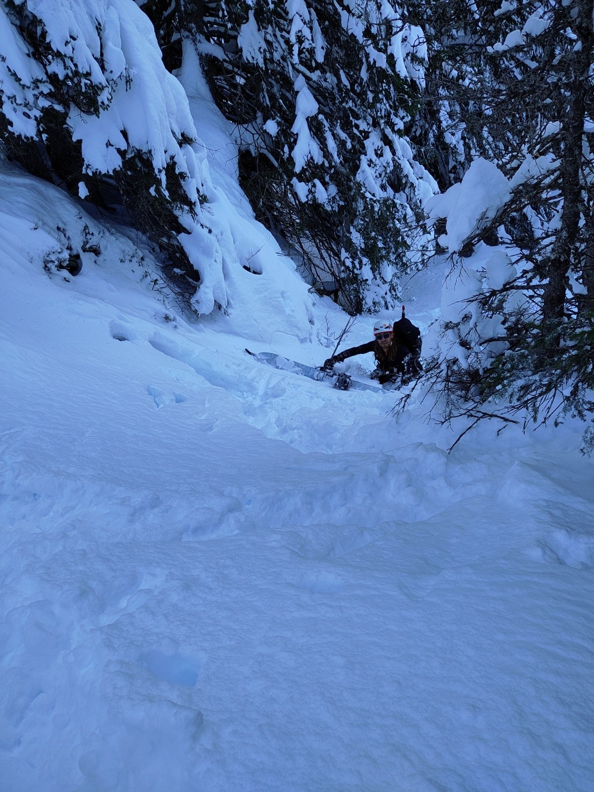  Perdu dans la forêt à nager dans la poudre 