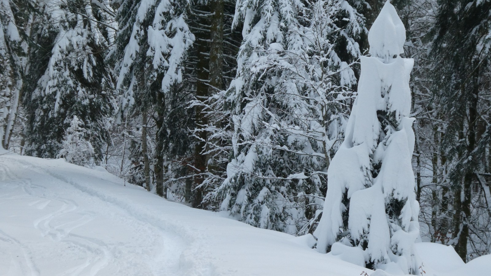 avis aux lorrains :St Nicolas se tient au bord de la RF du Billon