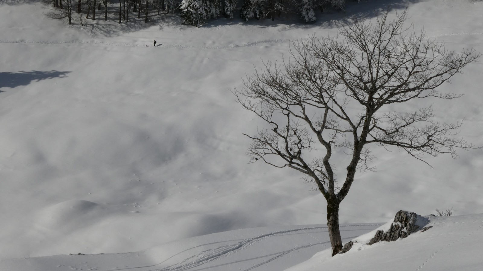 promeneur avec chien sous le col de la Ruchère 