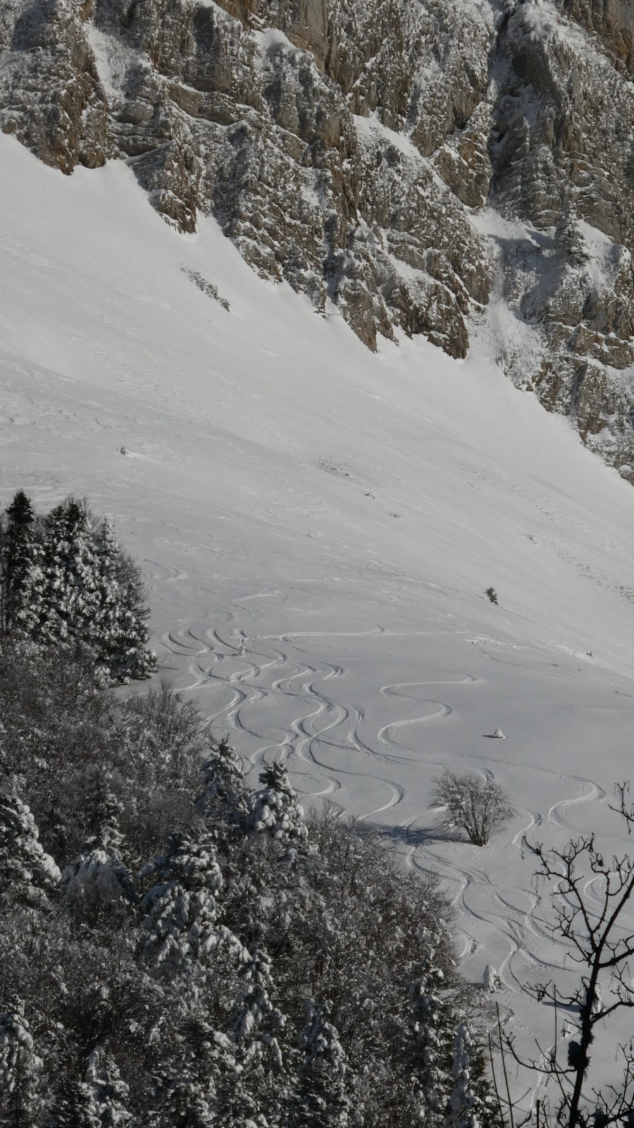 d'autres traces que (et les) miennes 