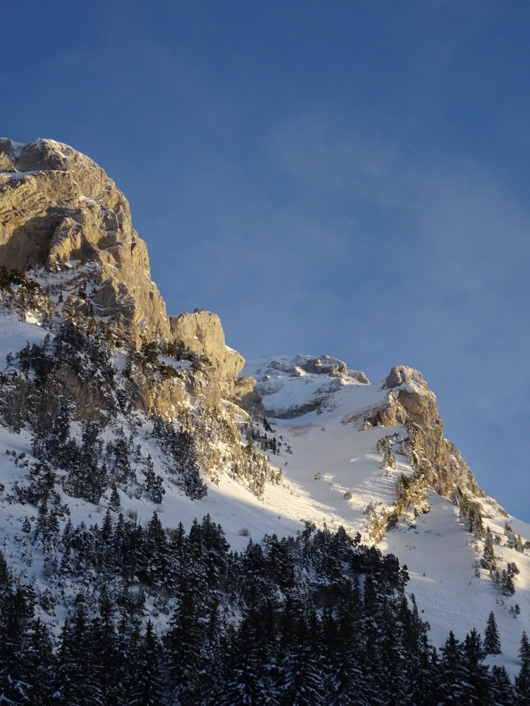 Linguale pas trop trop tracée