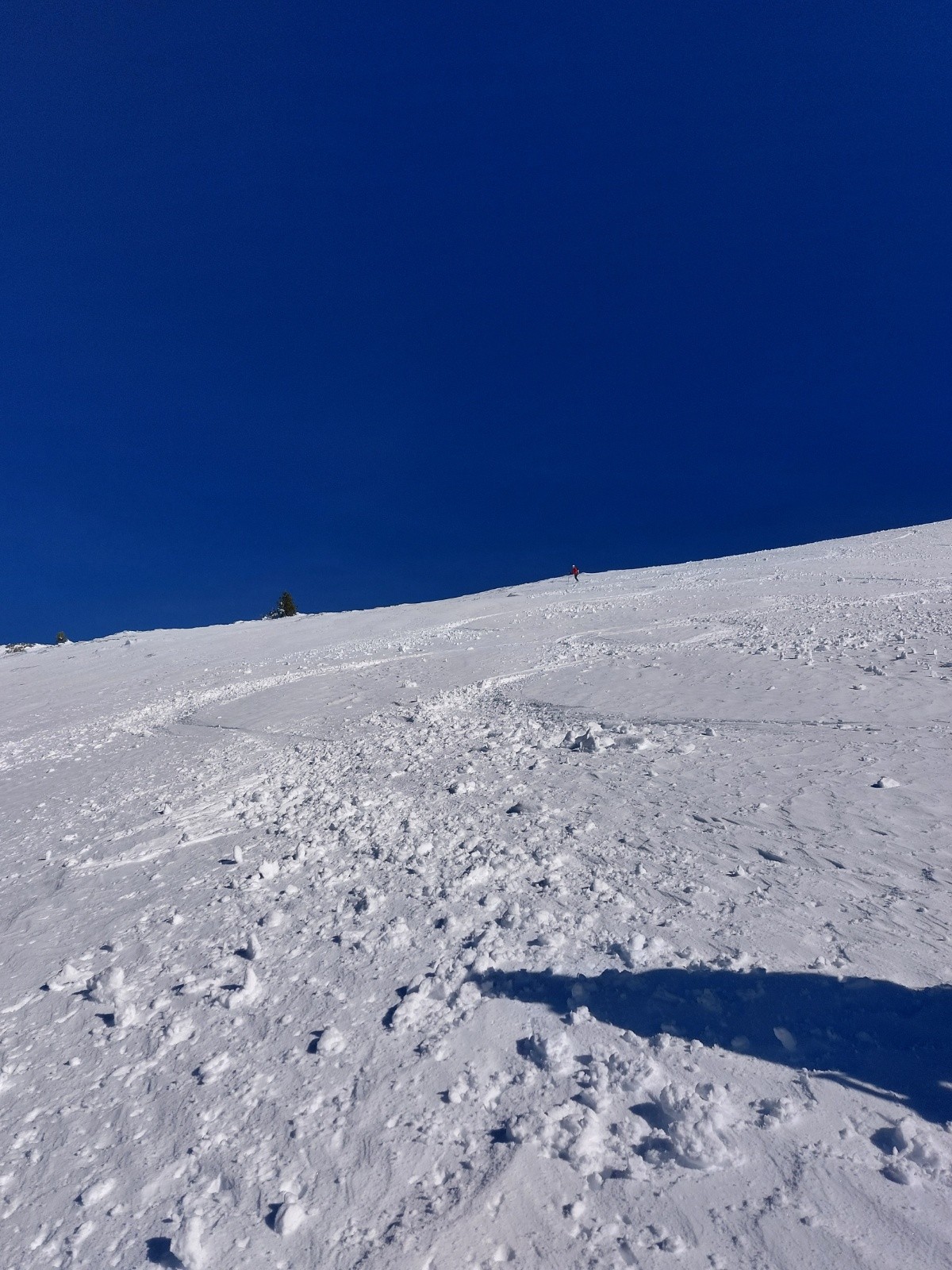 #12 Très bon ! Très bon !
