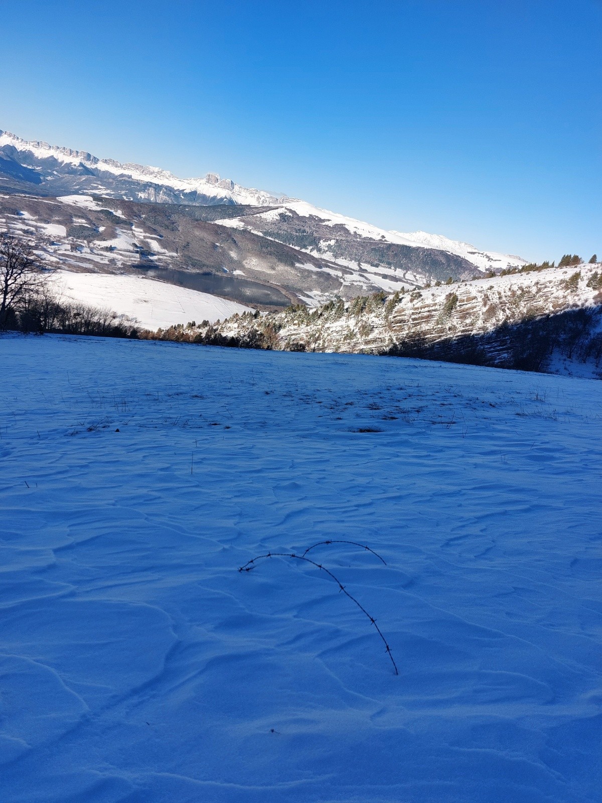 #3 Terrain miné Terrain miné