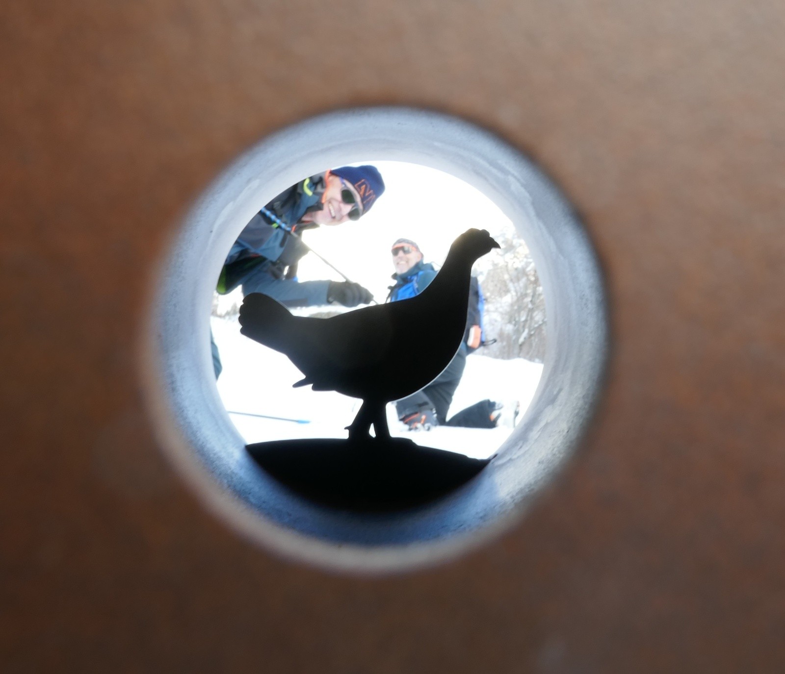  Ma bande d'emplumés...🤪