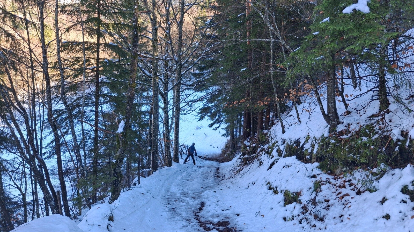 #10 Chemin qui fait rêver.. Chemin qui fait rêver..